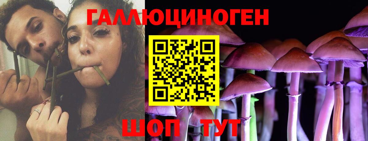 Галлюциногенные грибы Cubensis  Вход с VPN  Воткинск 